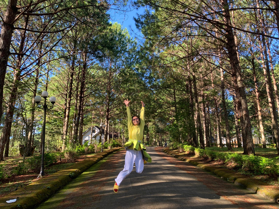 Sivananda Yoga Resort And Training Center-大勒必去景点