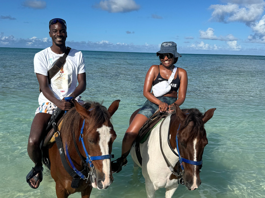 Unique Tours and Rentals-普罗维登西亚莱斯必去景点