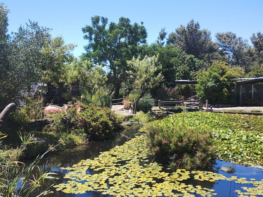 Die Plaasmol-Hopefield必去景点