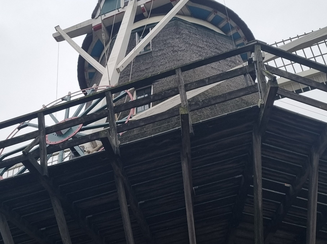 Molen Van Sloten-阿姆斯特丹必去景点