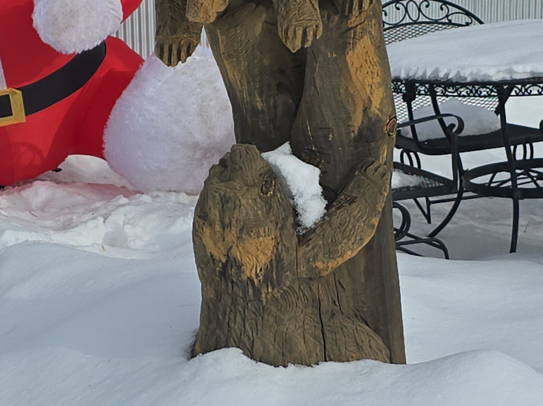Montana Grizzly Encounter-博兹曼必去景点