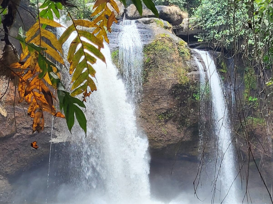 Khaoyai Jungle Tour and Photographer by Guide Jay-北冲县必去景点