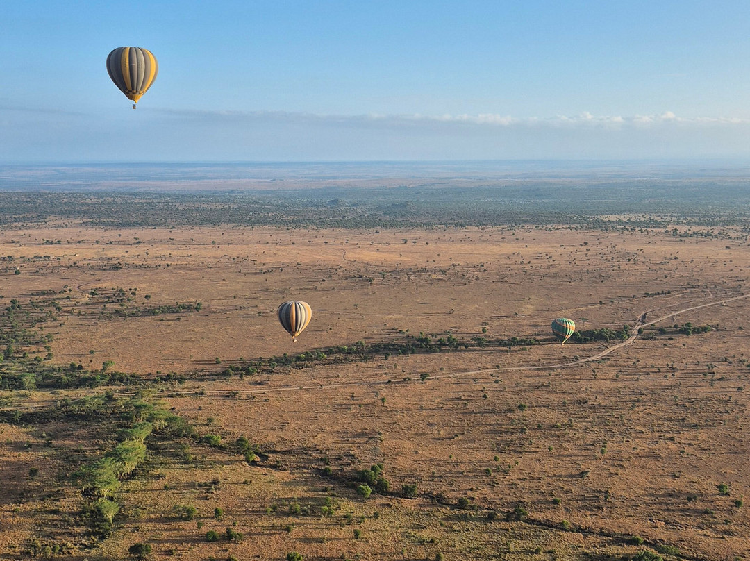Serengeti Balloon Safaris-塞伦盖蒂国家公园必去景点