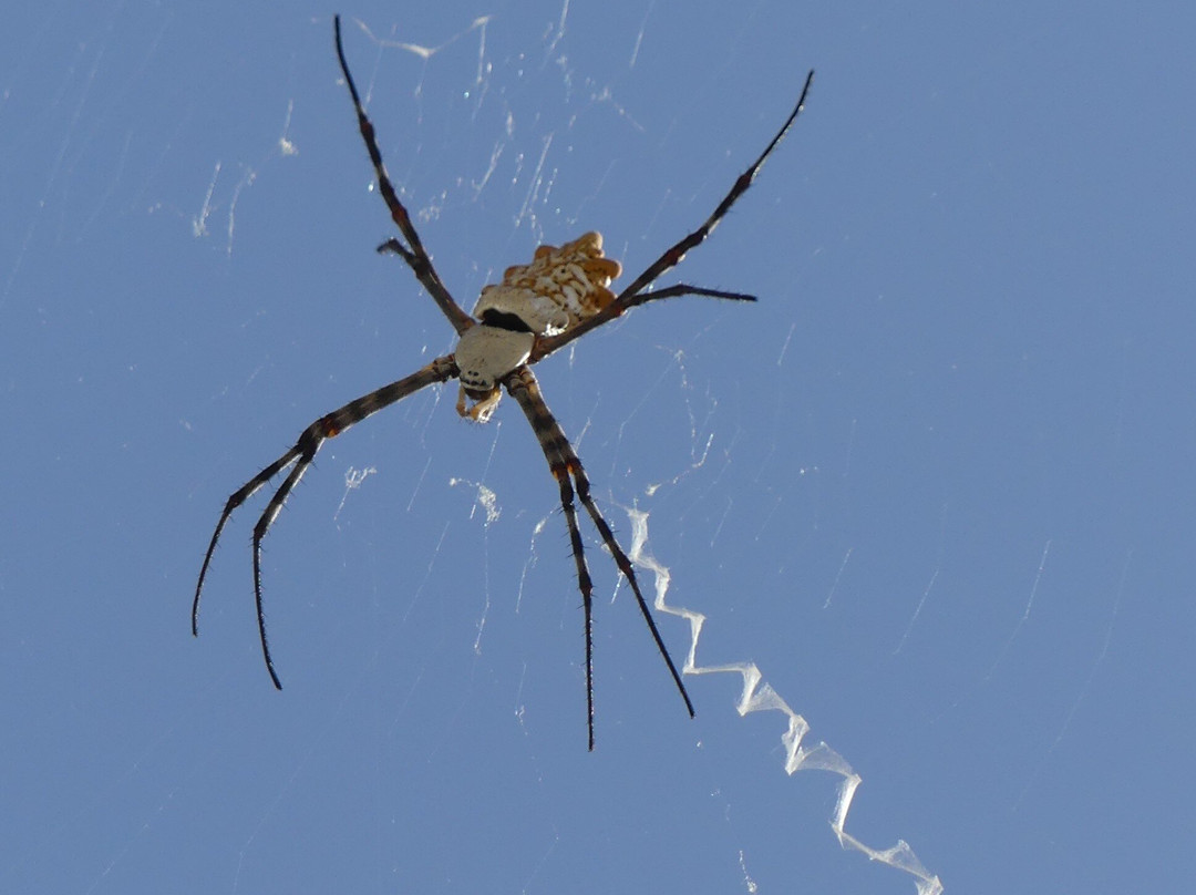 Hotel Riu Palace Boavista主图