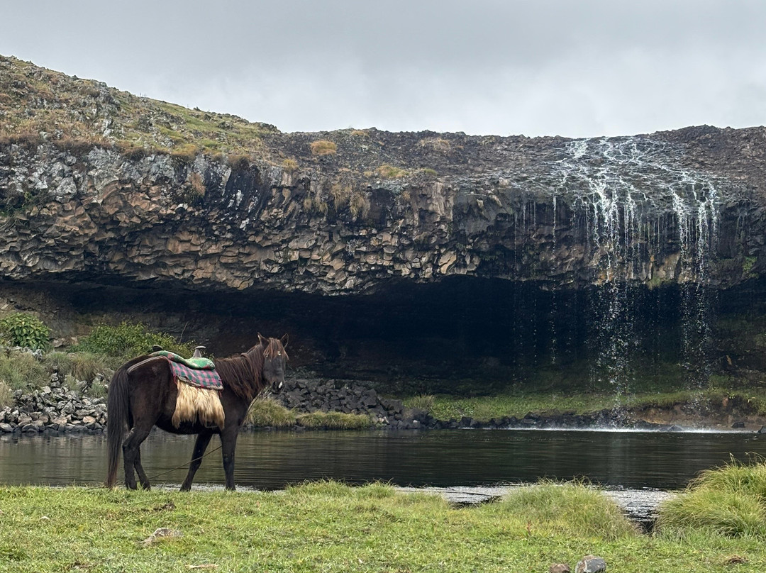Shishilie Tour And Travel-Bale Robe必去景点