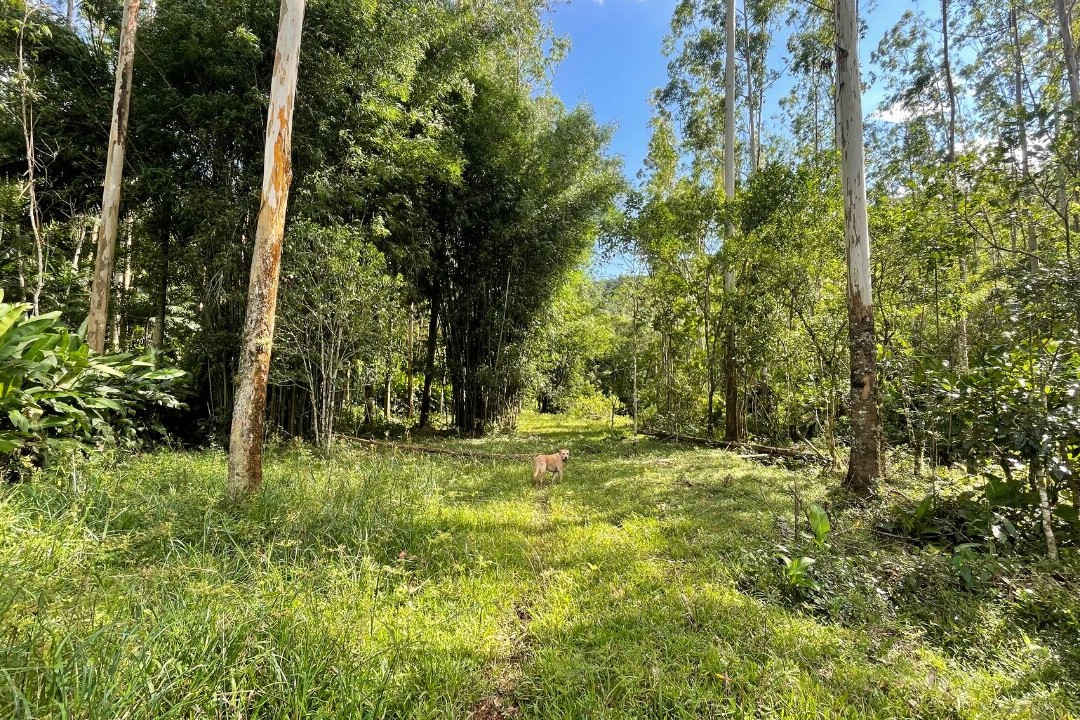 Cachoeira dos Inácios-Praia Grande必去景点
