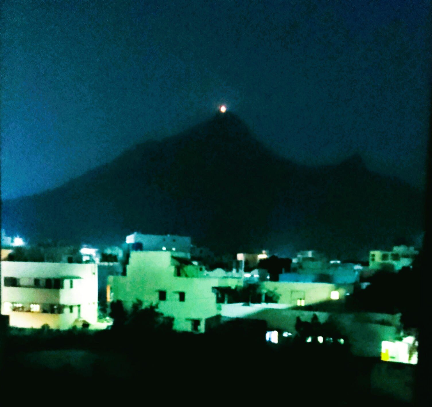 Hotel Himalayaa-酒店景观