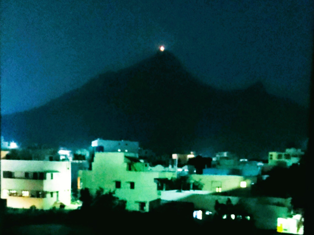 Hotel Himalayaa主图