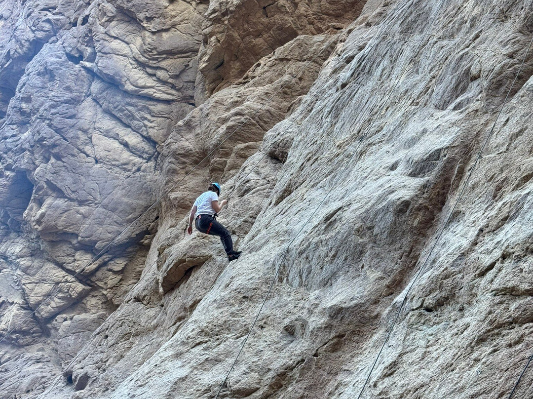 Desert Divers Dahab-达哈卜必去景点