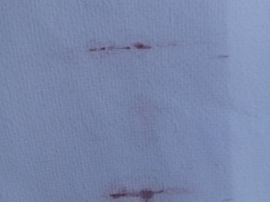 Massanutten Resort主图