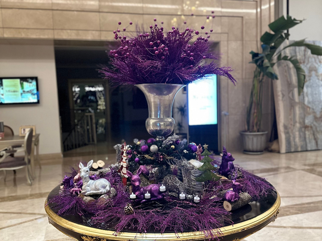 NG Afyon Wellness & Convention主图