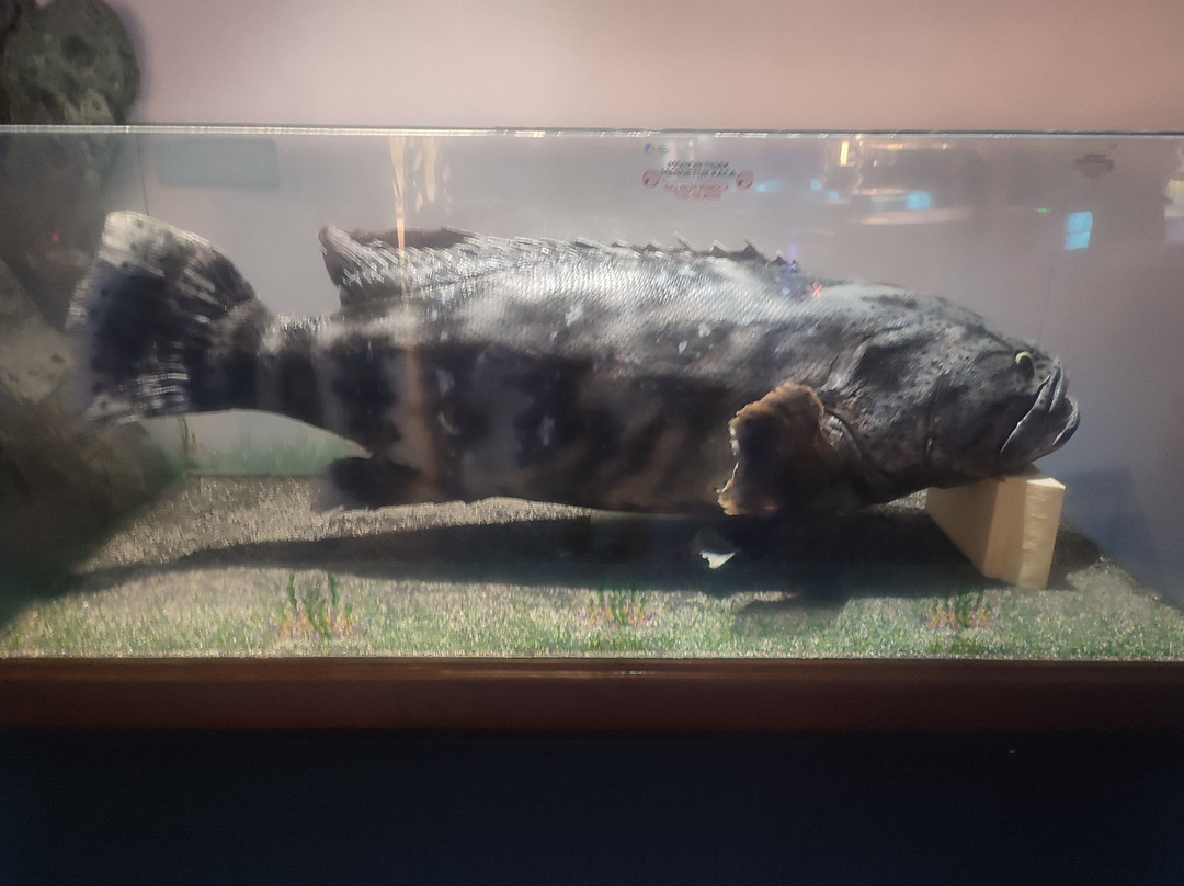 Jakarta Aquarium & Safari-雅加达必去景点