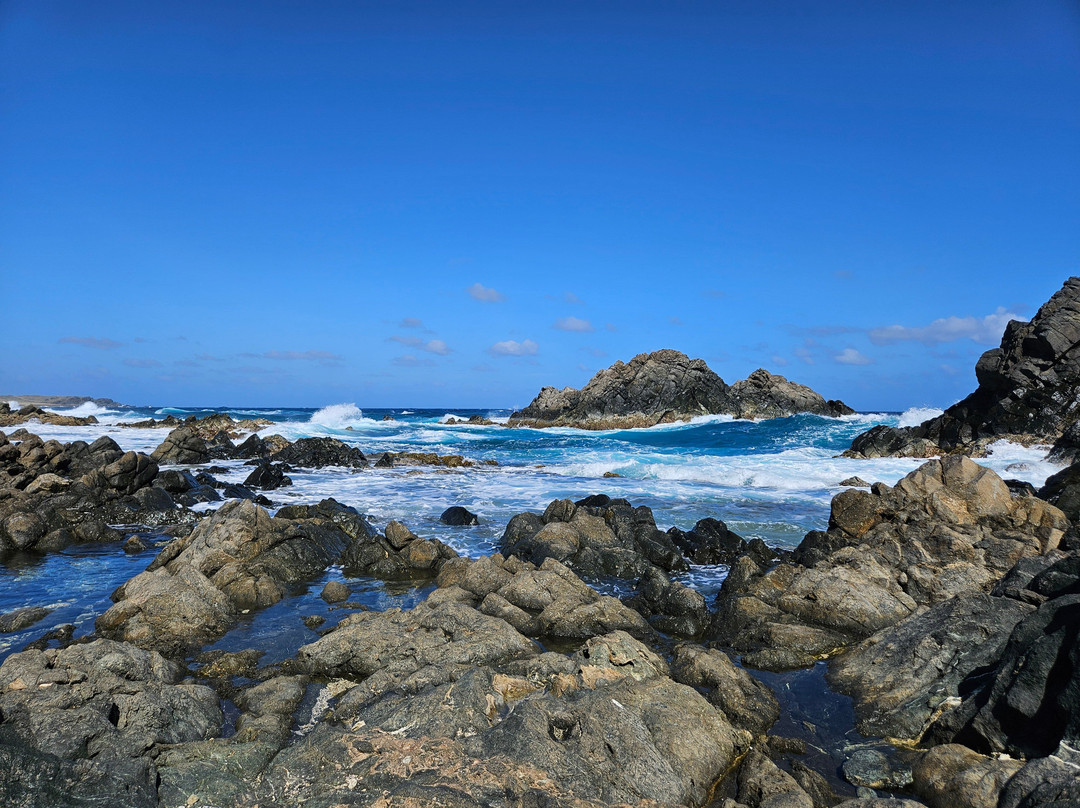 Rancho Loco-Santa Cruz必去景点