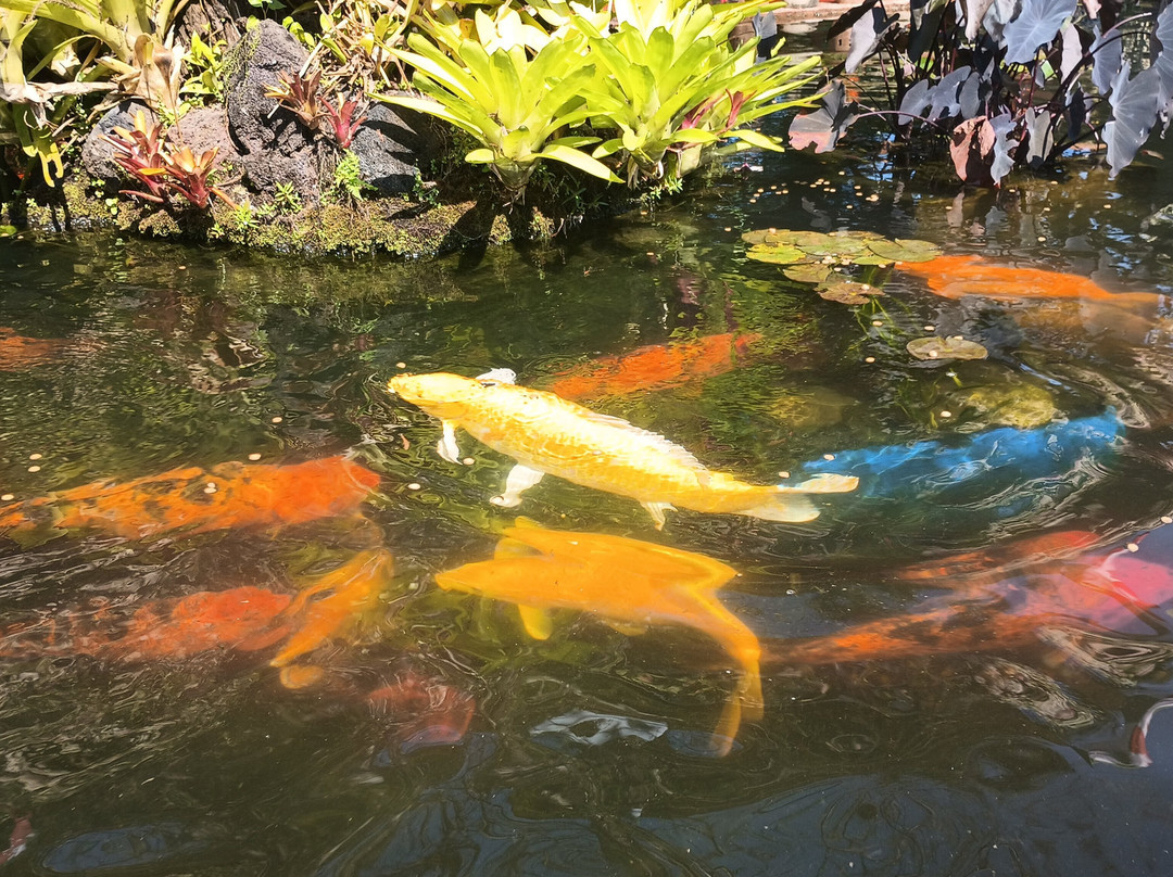 Jardín Botánico de Vallarta-Cabo Corrientes必去景点