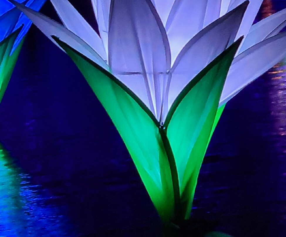 Kew Gardens Cinemas-Kew Gardens必去景点