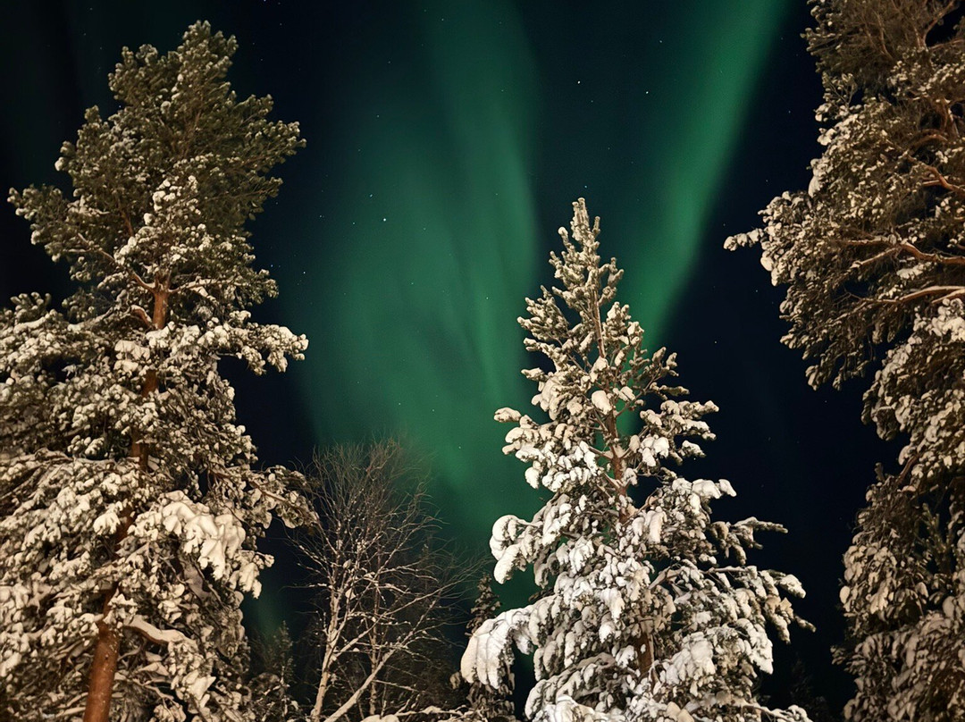 Hotel Ylläsrinne主图