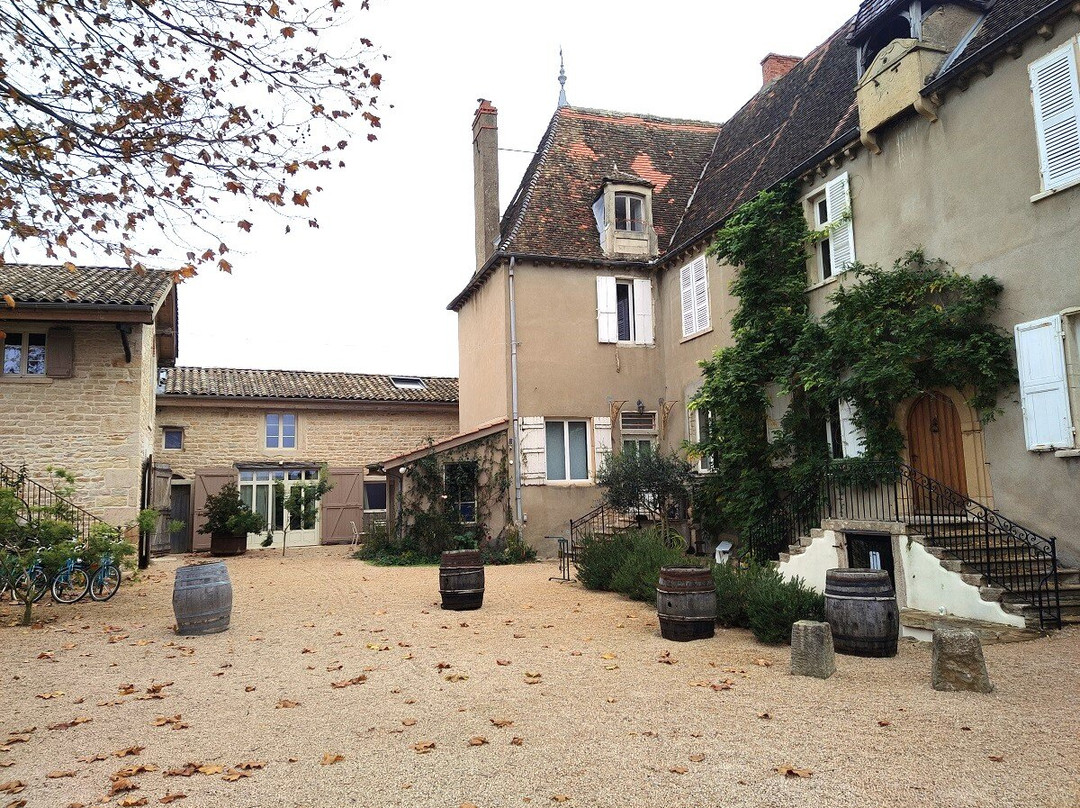 Château De Chatenay - Macon