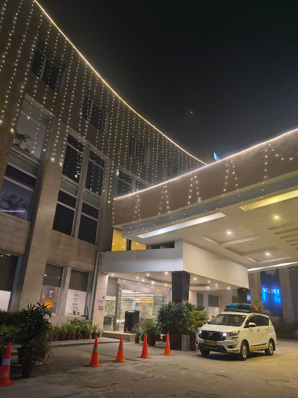 Velvet Clarks Exotica-官方