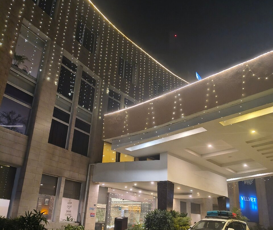 Velvet Clarks Exotica主图