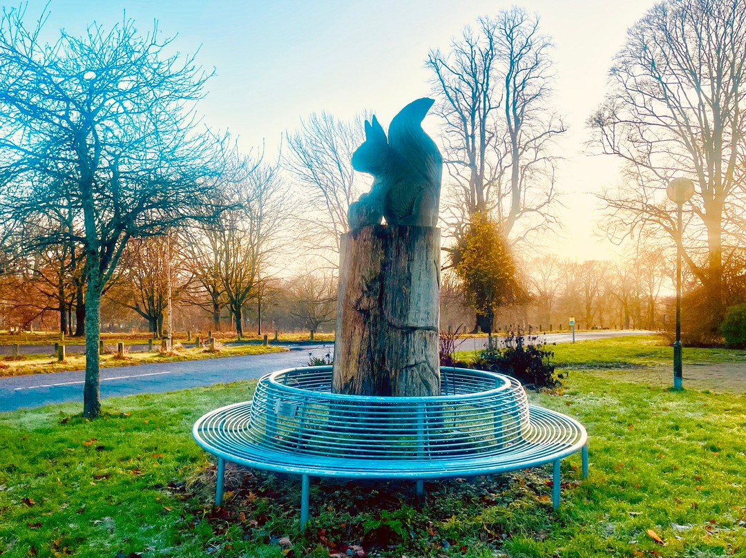 Camperdown Country Park-敦提必去景点