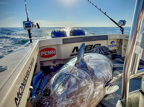 Mass Bay Guides-North Scituate必去景点