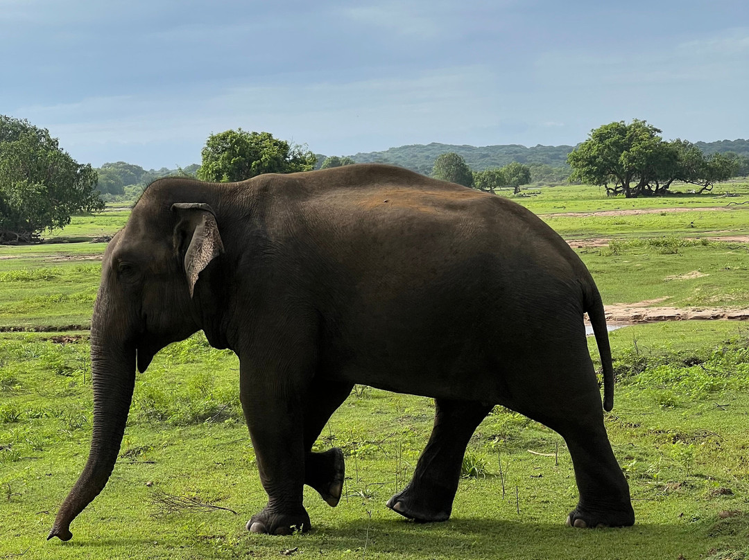 My Vacation at Lanka-Ratmalana必去景点