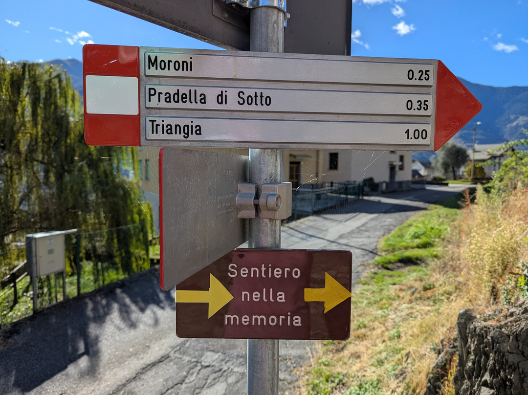 Panchina Gigante Sondrio-Sondrio必去景点