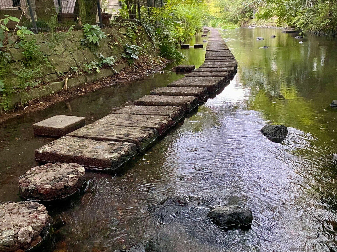 Gempeigawa River-三岛市必去景点