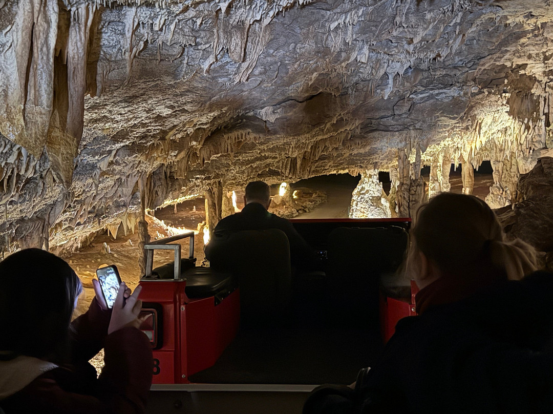 Fantastic Caverns-斯普林菲尔德必去景点