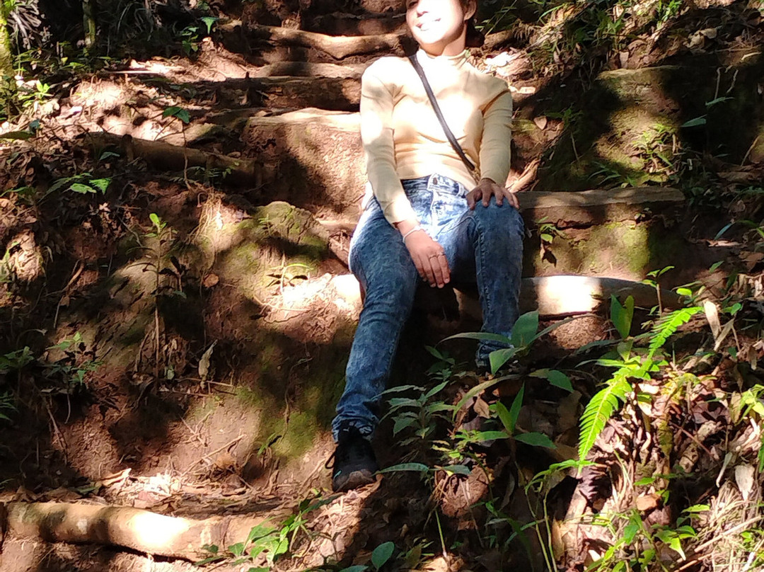 Topes de Collantes-Topes de Collantes必去景点