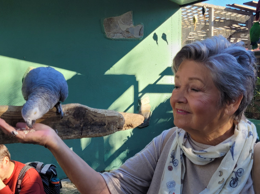 Jardin del Papagayo-Benicarlo必去景点