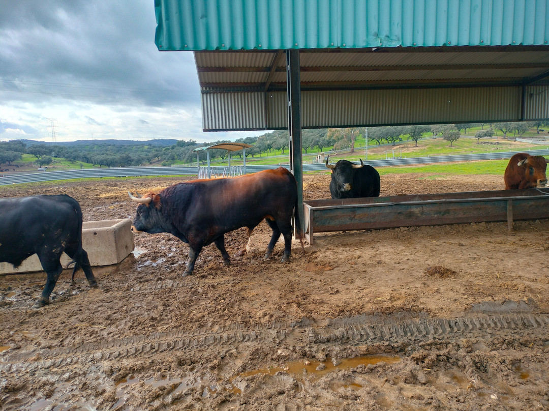 Ganadería Virgen María-吉列纳必去景点