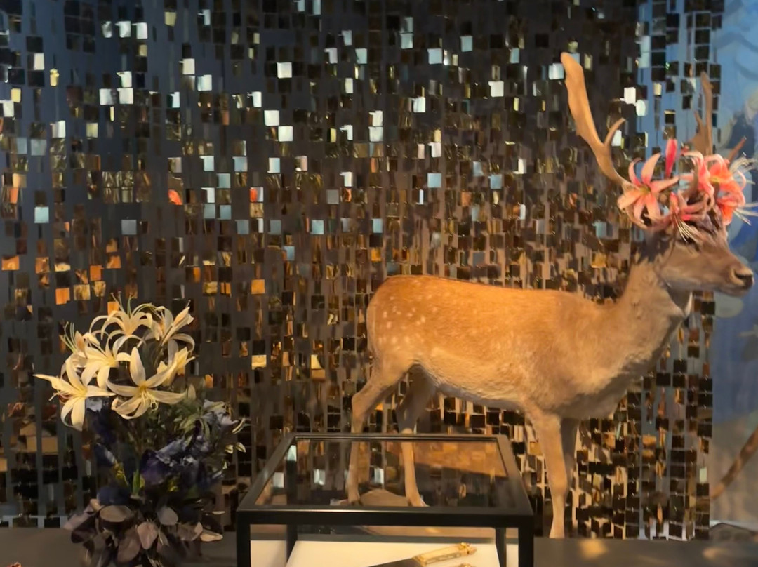 Limburgs Museum-芬洛必去景点