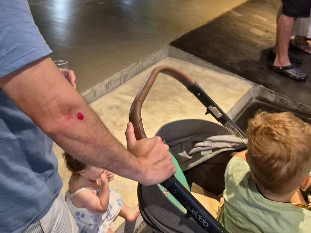 Bodega Garzon-Garzon必去景点