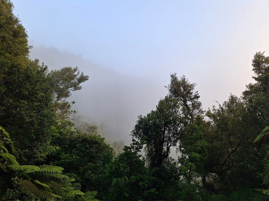 Hakarimata Walkway-Ngaruawahia必去景点