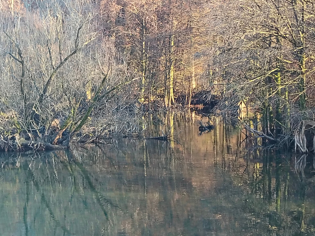 Parco dei TAXODI-Paratico必去景点