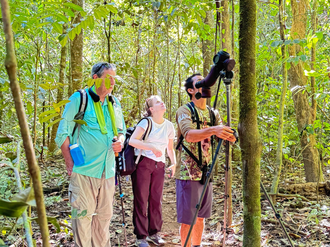 Osa Green Travel-希门尼斯港必去景点