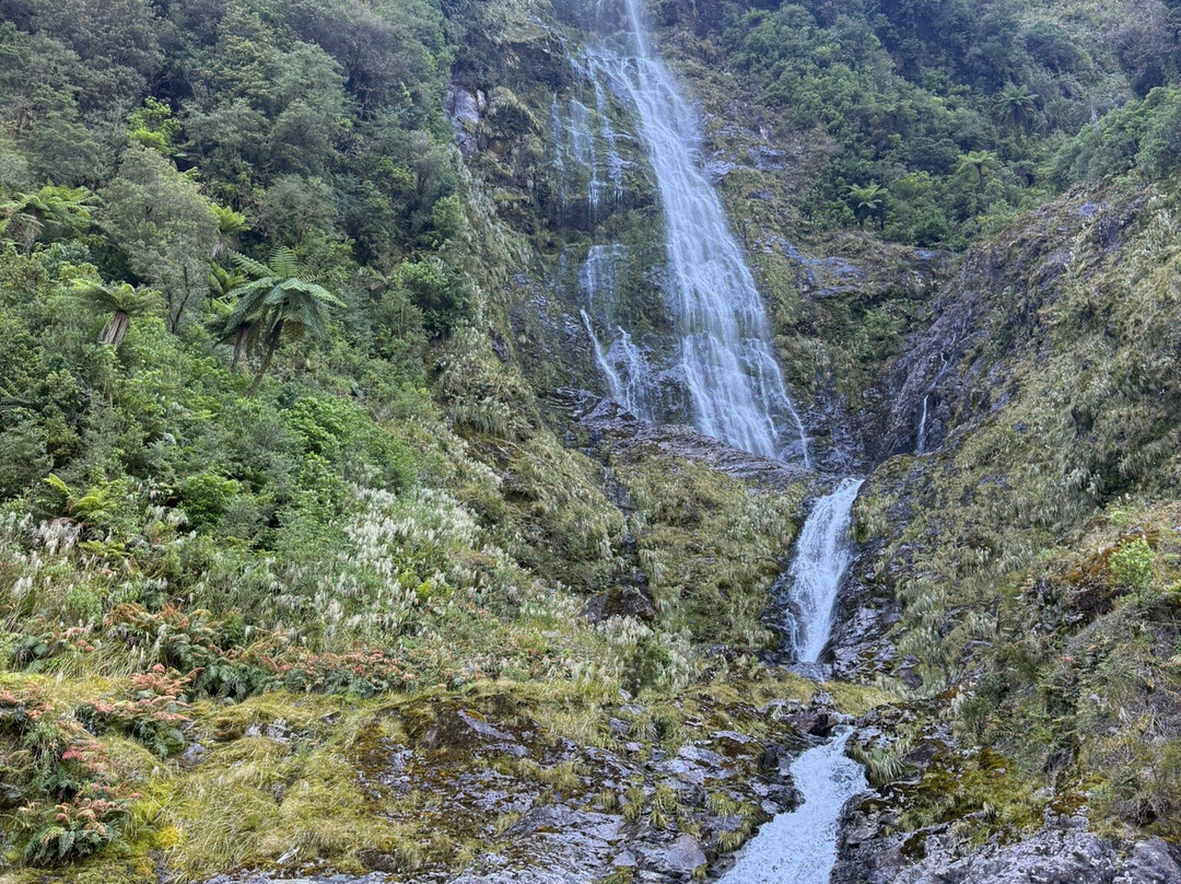 Doubtful Sound Kayak-马纳普里必去景点