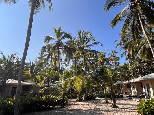 Tayrona Tented Lodge主图