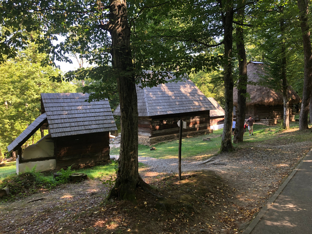 Muzeul Astra-锡比乌必去景点