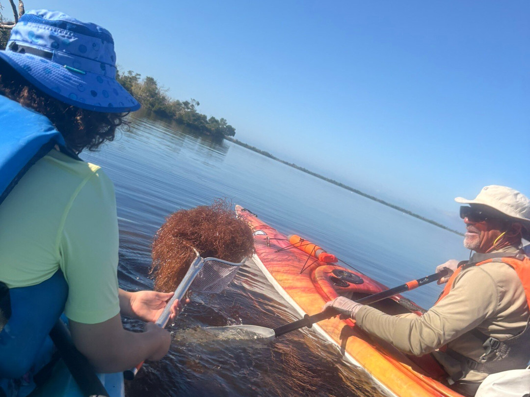 Gulf Coast Kayak-开普科勒尔必去景点