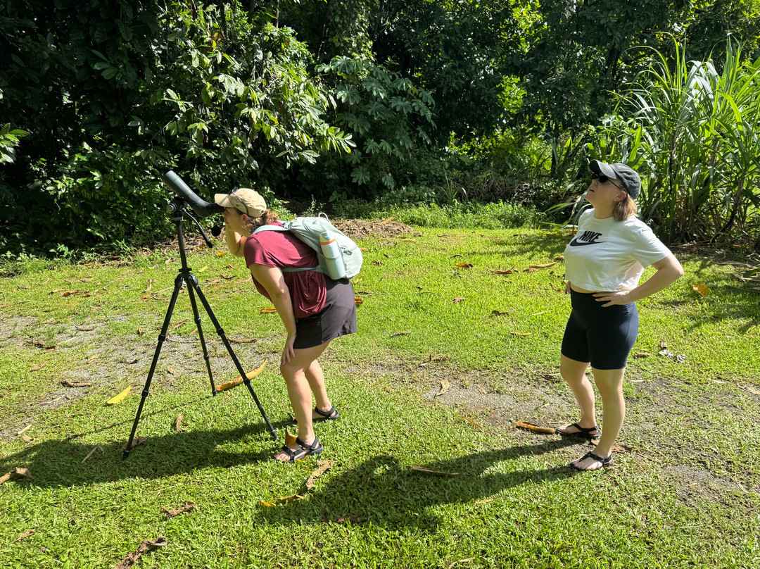 Eureka Natural History Tours-斯卡伯勒必去景点