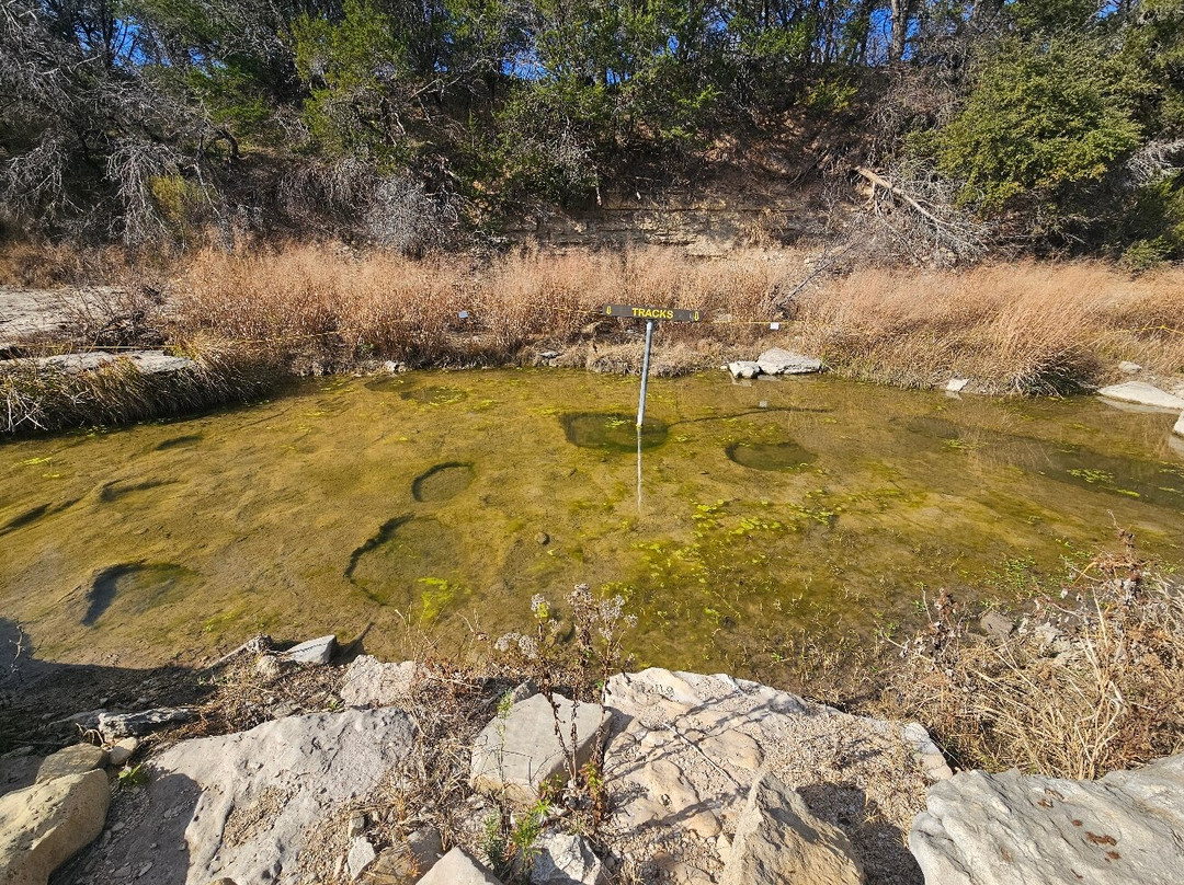 Dinosaur Valley State Park-Glen Rose必去景点
