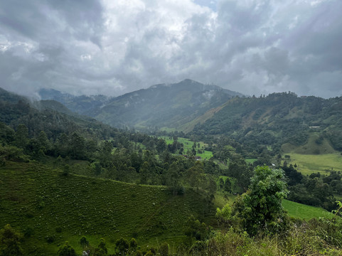 Cocora Magic-萨伦托必去景点