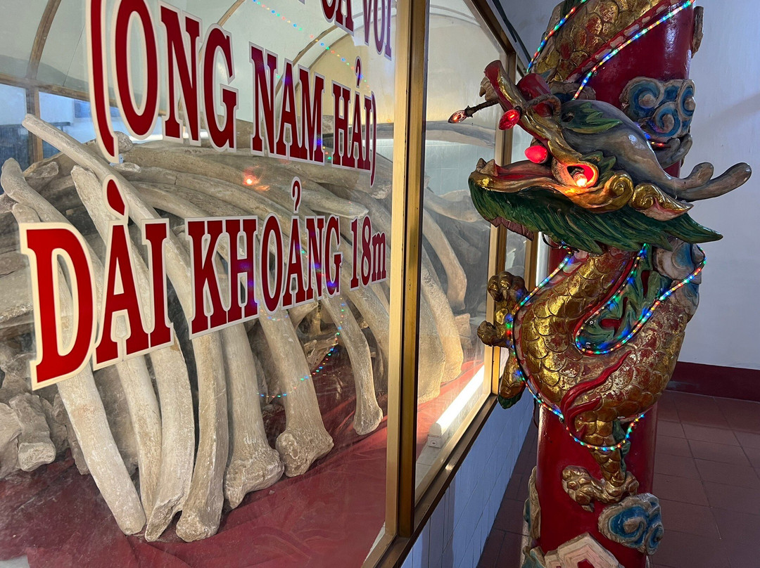 The Whale Temple Vung Tau-头顿必去景点