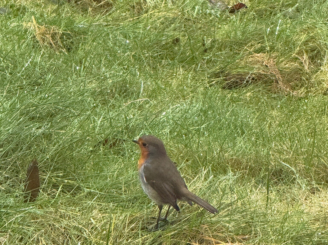 Errichel Cottages主图