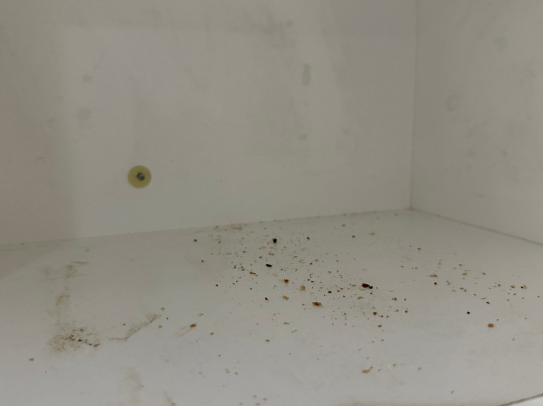 彭南特山华道尔夫饭店主图