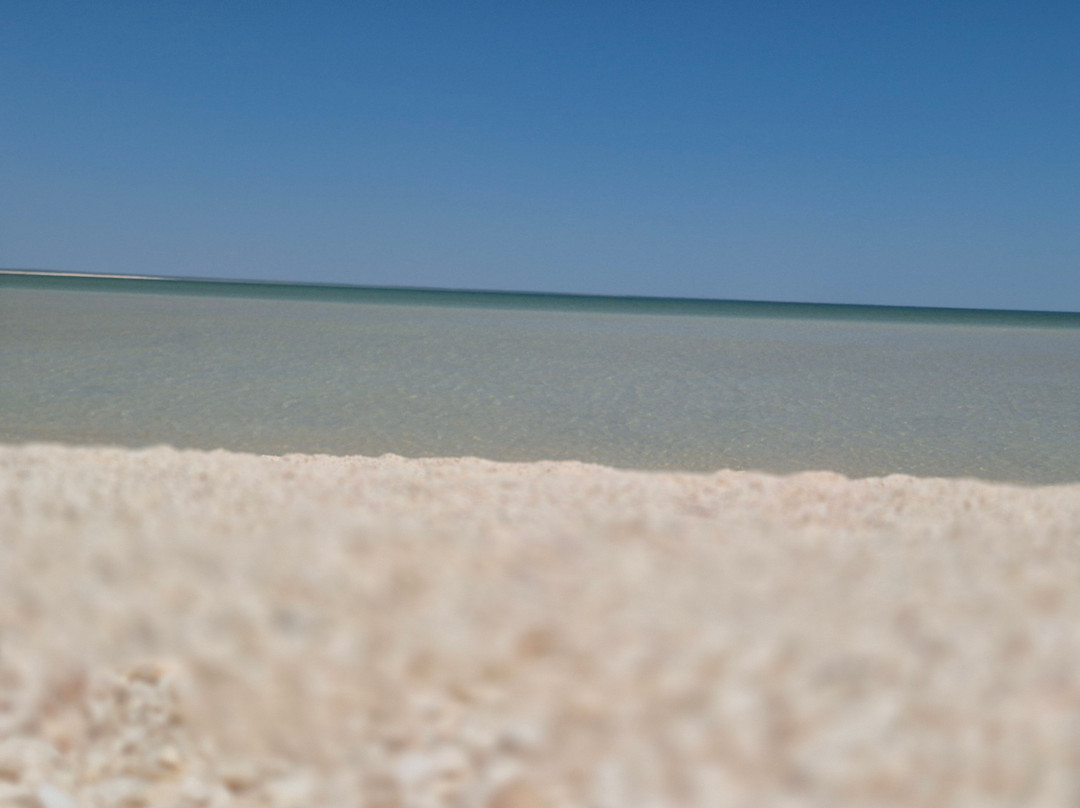 Shell Beach-德纳姆必去景点