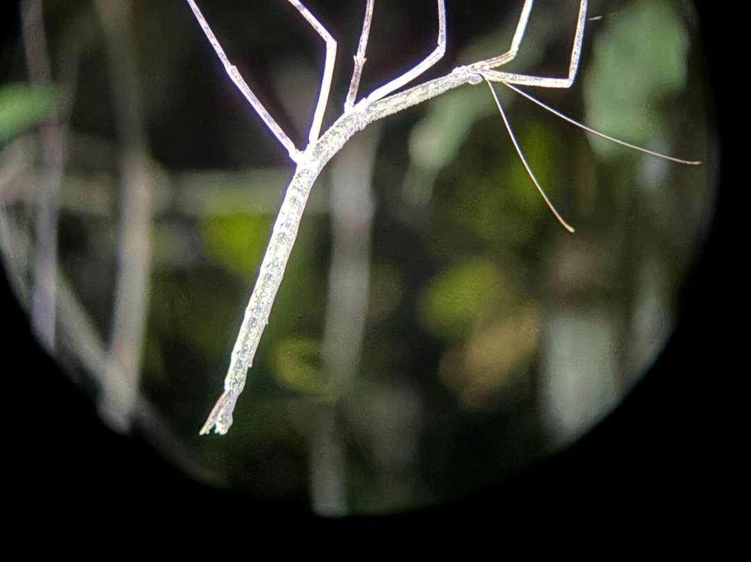 Monteverde Wildlife Refuge-圣埃伦娜必去景点