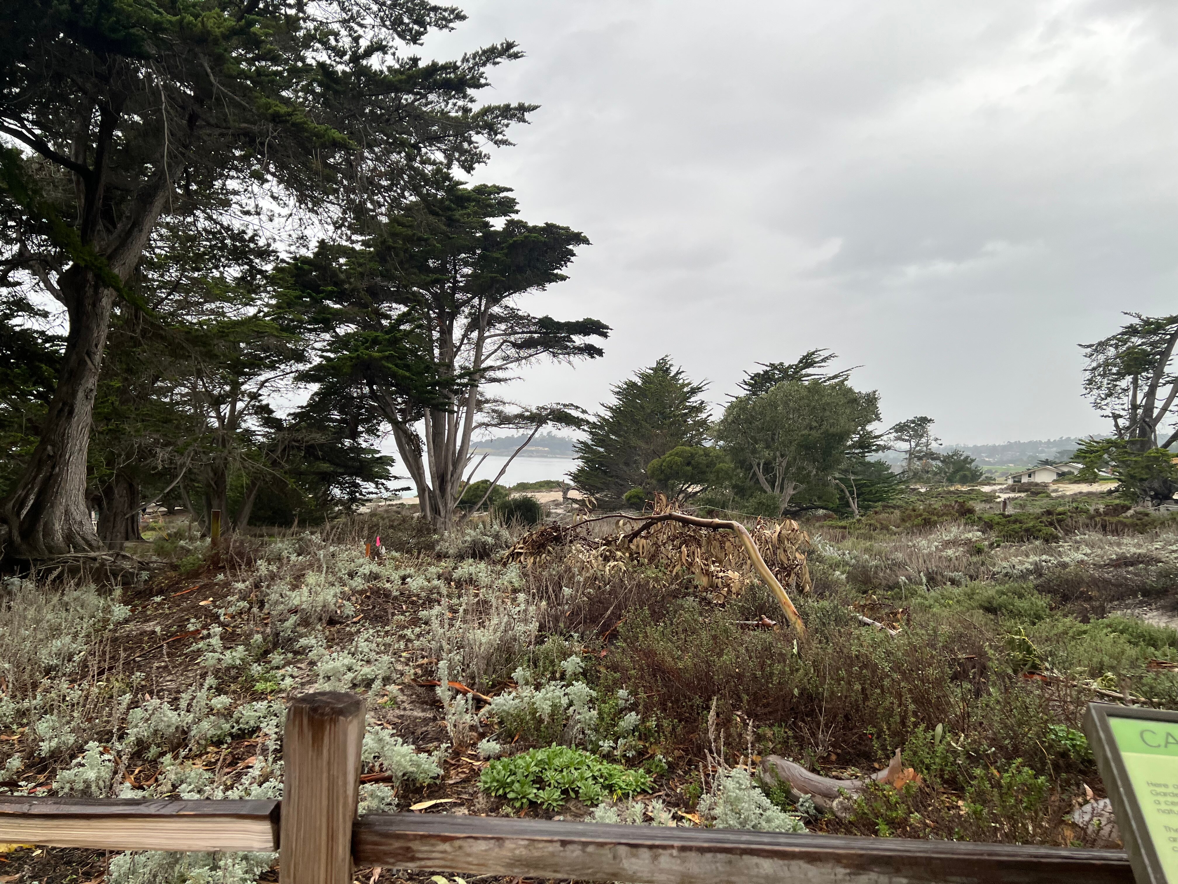 卡梅尔乡村酒店-官方